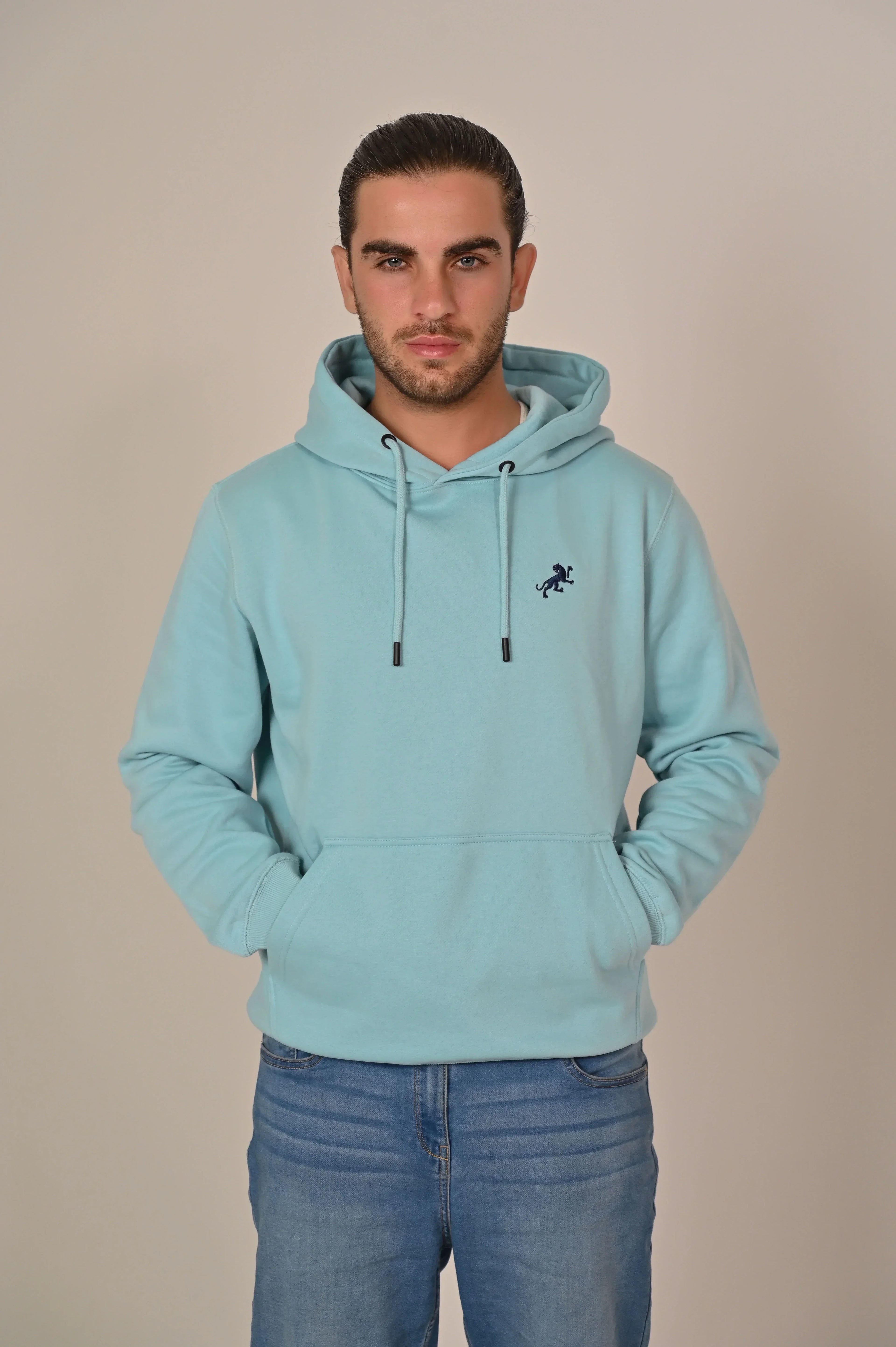 Hoodie Light Blue